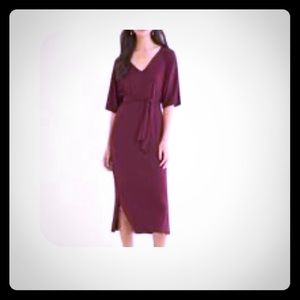NWT Gordana Dress by Amour Vert